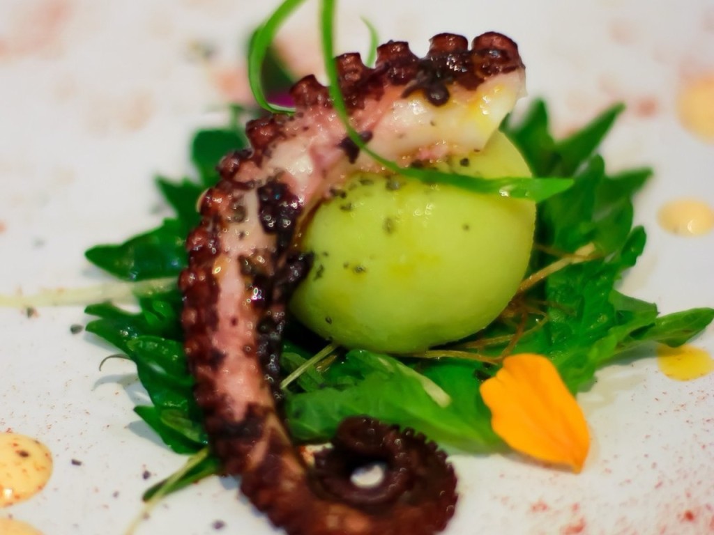 Pulpo causa padrón